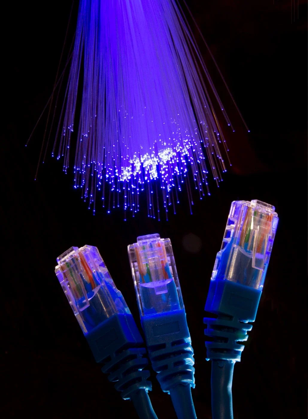 Network Services - Optimum Solution